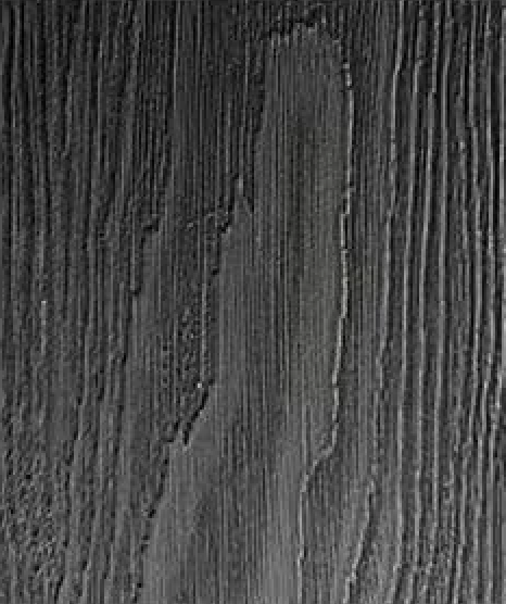 Likewood Black Larch PVC decking finish